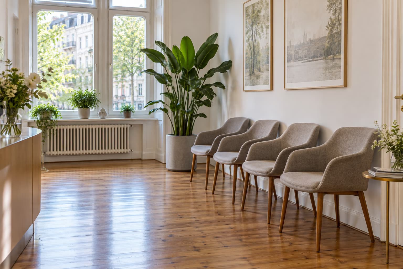 A bright waiting room with a row of grey upholstered chairs, a large potted plant and tall windows looking onto a tree-lined street.