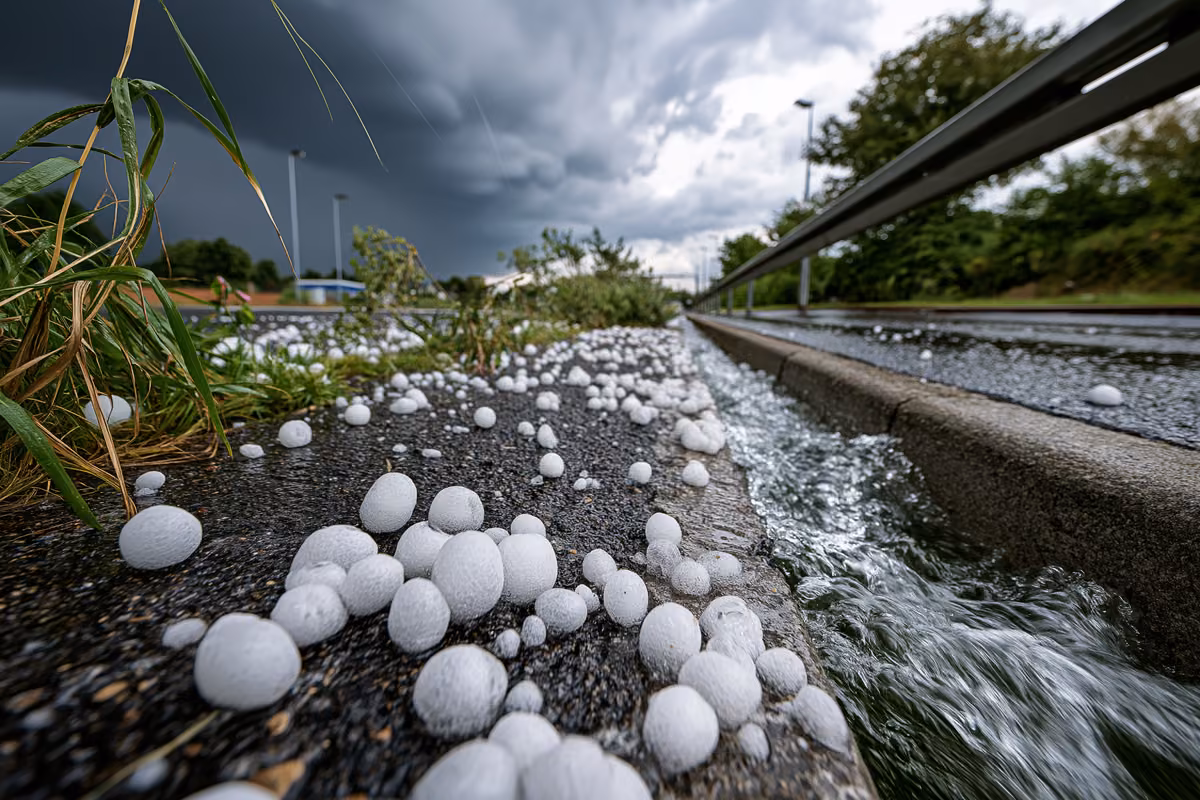 Large hailstones scattered on a wet pavement after a summer storm.