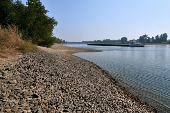 Uma barcaça de carga ancorada, com pouca carga, em um trecho reduzido do rio Reno, com bancos de areia expostos.